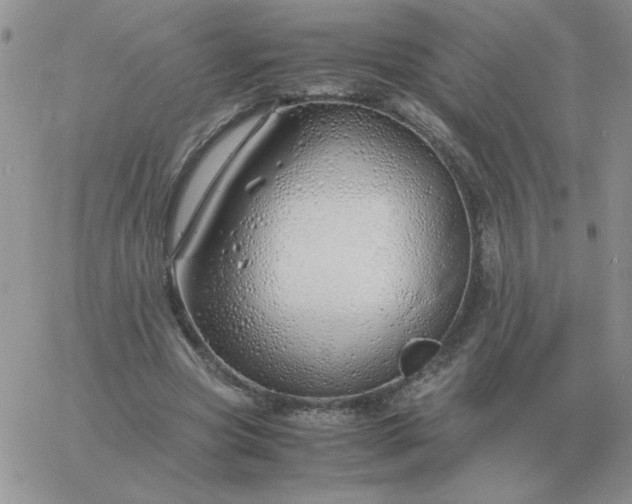 X0000060770537200511241756