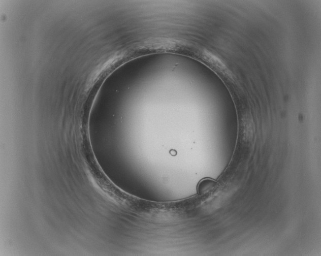 X0000060770538200511241756