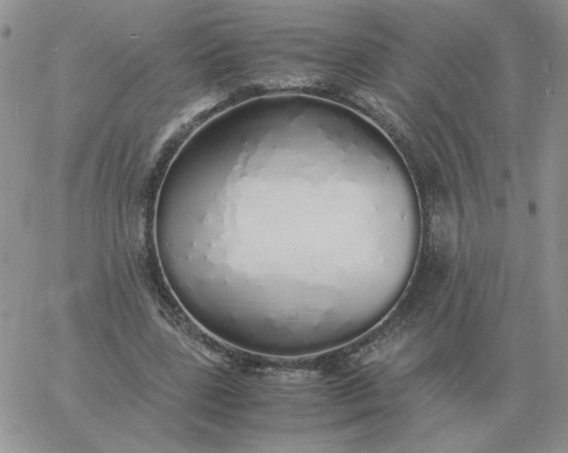 X0000060770539200511241756