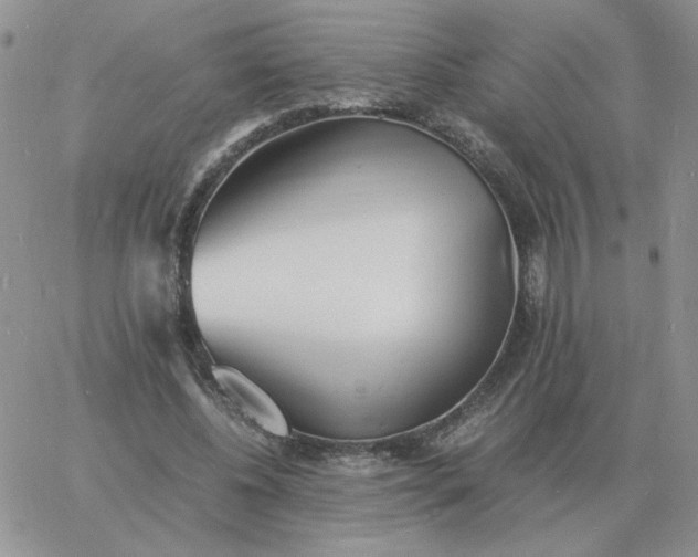 X0000060770540200511241756