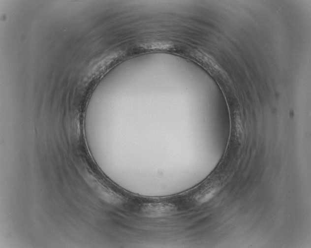 X0000060770541200511241756