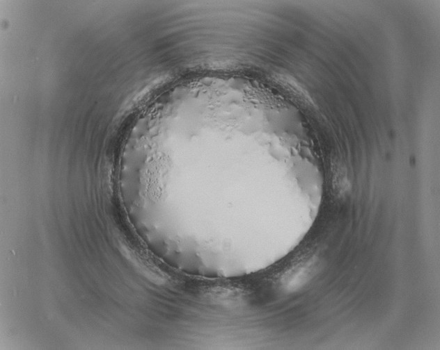 X0000060770542200511241756