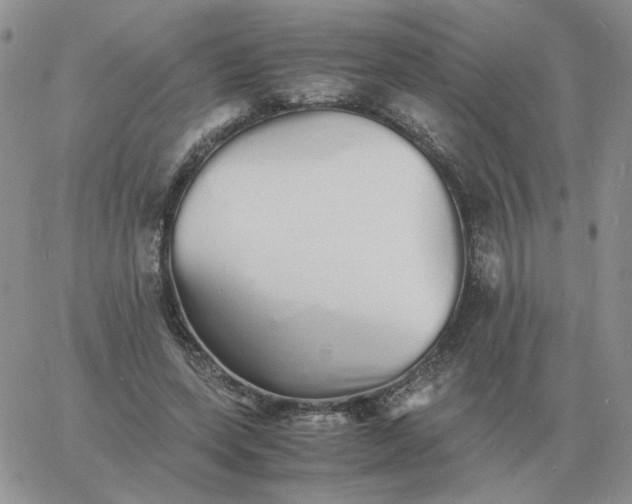 X0000060770543200511241756