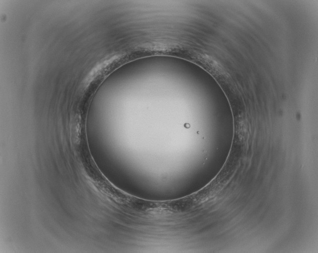 X0000060770544200511241756