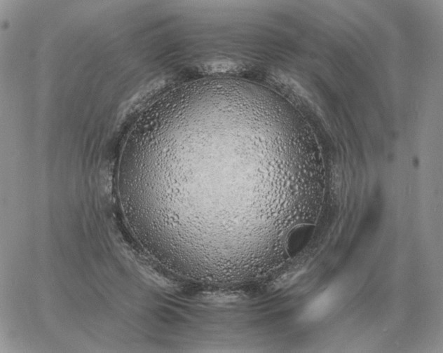 X0000060770545200511241756