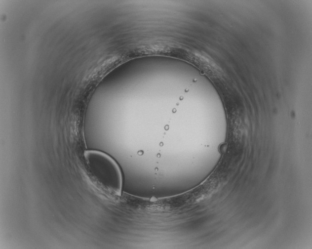 X0000060770546200511241756