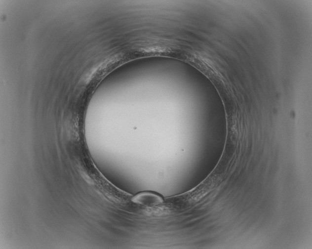 X0000060770547200511241756