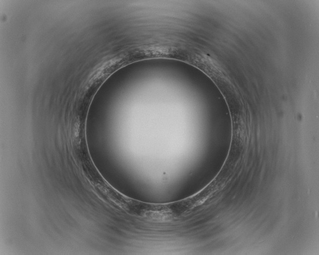 X0000060770548200511241756