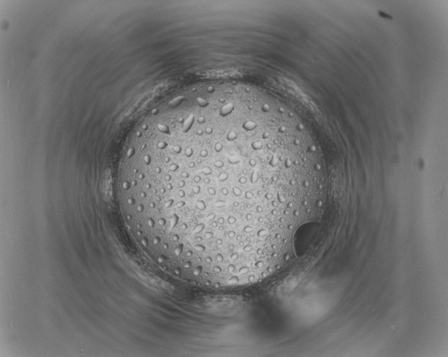 X0000060770549200511241756