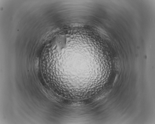 X0000060770550200511241756