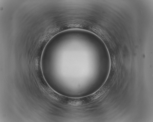 X0000060770551200511241756