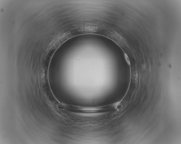 X0000060770552200511241756