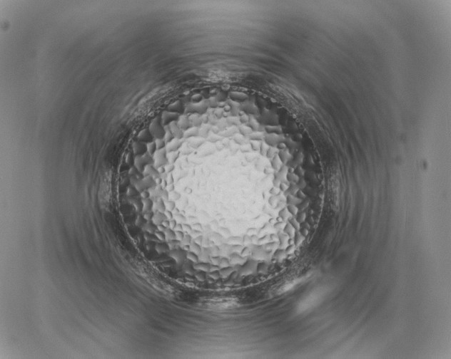 X0000060770554200511241756