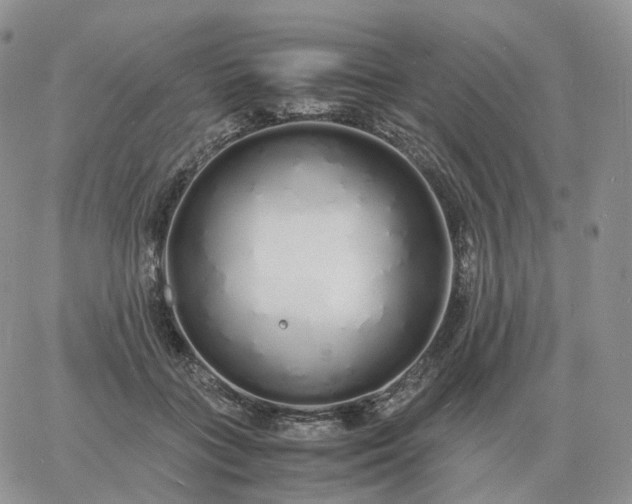 X0000060770555200511241756