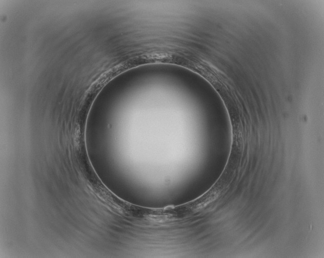 X0000060770556200511241756