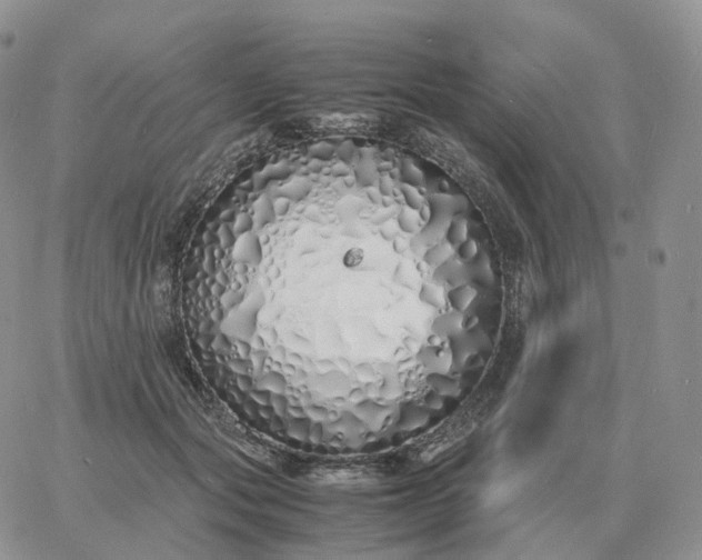 X0000060770557200511241756