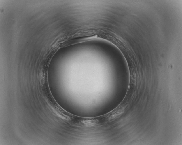 X0000060770558200511241756