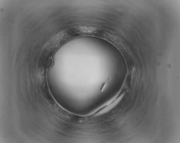 X0000060770559200511241756