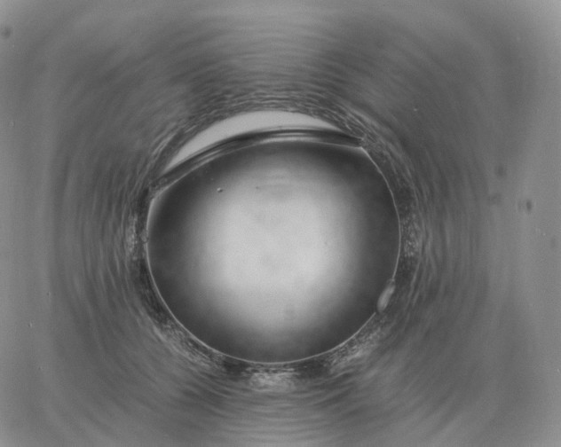 X0000060770560200511241756