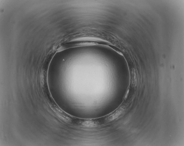 X0000060770562200511241756