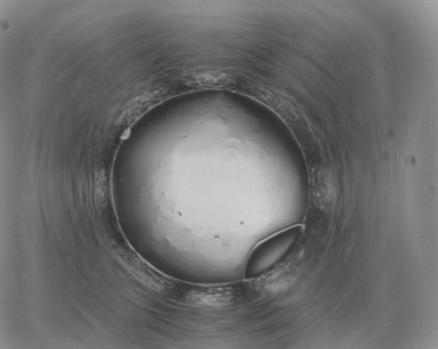 X0000060770563200511241756