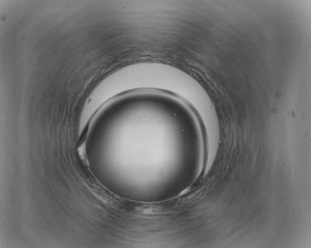 X0000060770564200511241756