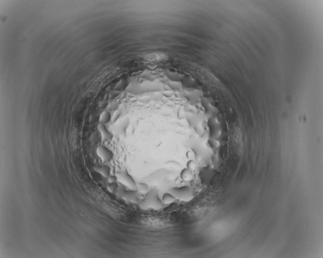 X0000060770565200511241756