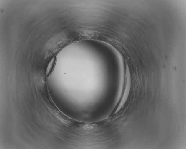 X0000060770566200511241756