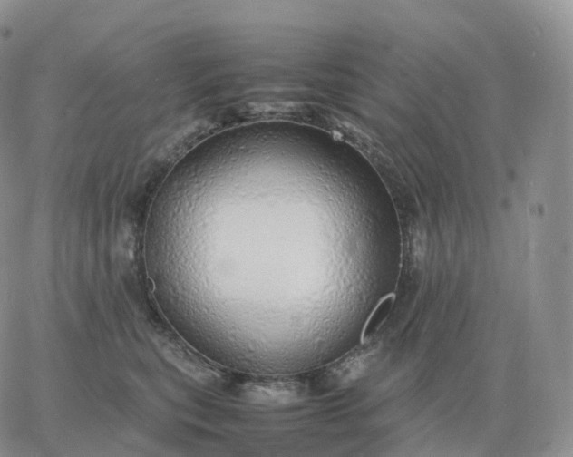 X0000060770567200511241756