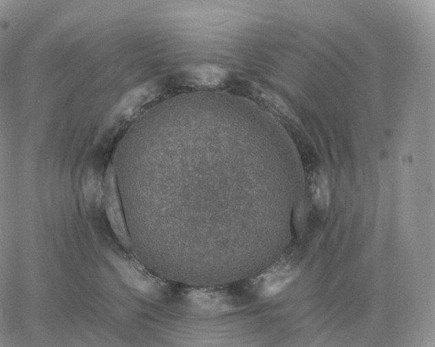 X0000060770568200511241756