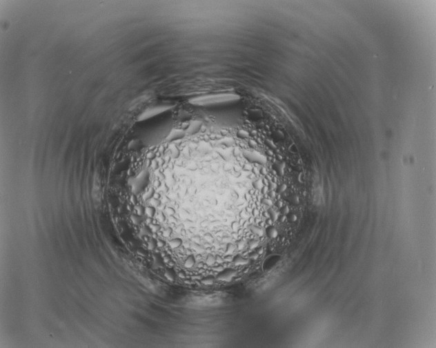 X0000060770569200511241756