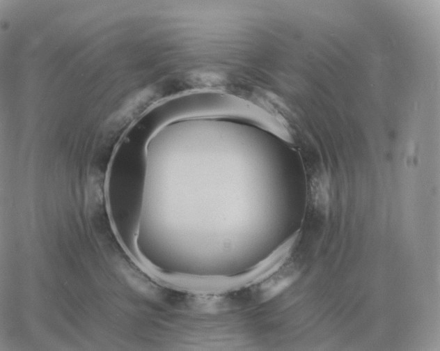 X0000060770570200511241756