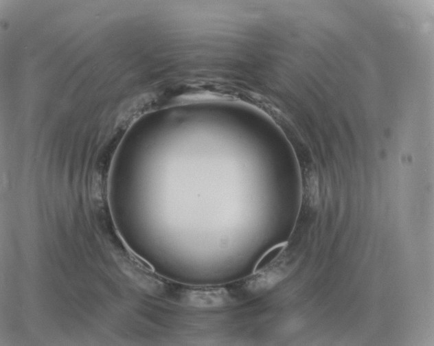 X0000060770571200511241756