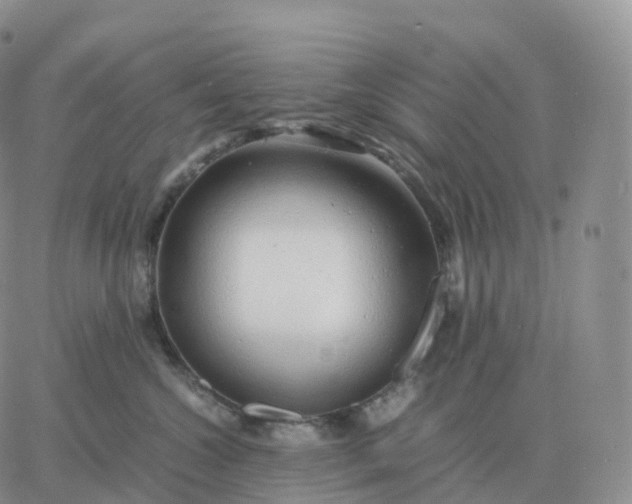 X0000060770572200511241756