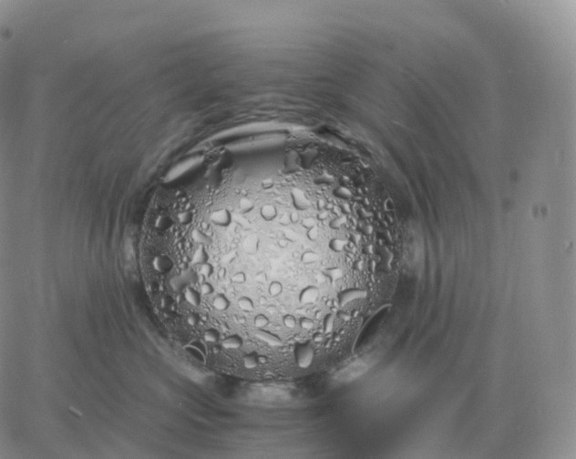 X0000060770573200511241756