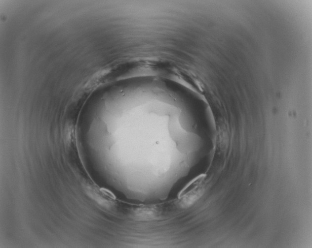 X0000060770574200511241756