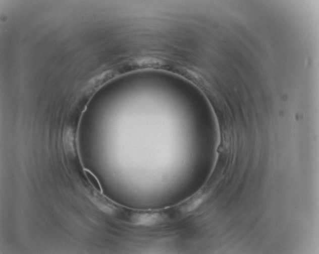 X0000060770575200511241756