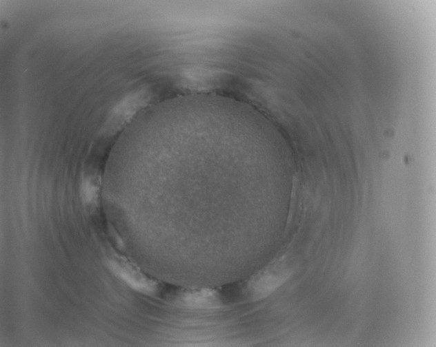 X0000060770576200511241757