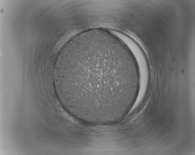 X0000060770577200511241756