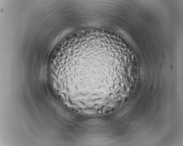 X0000060770578200511241756