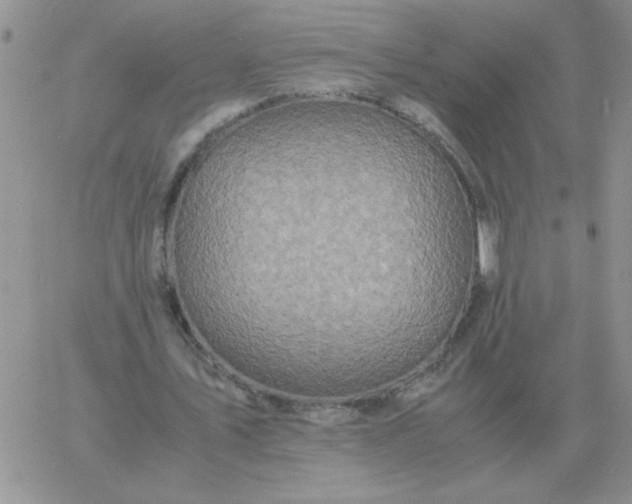 X0000060770579200511241756