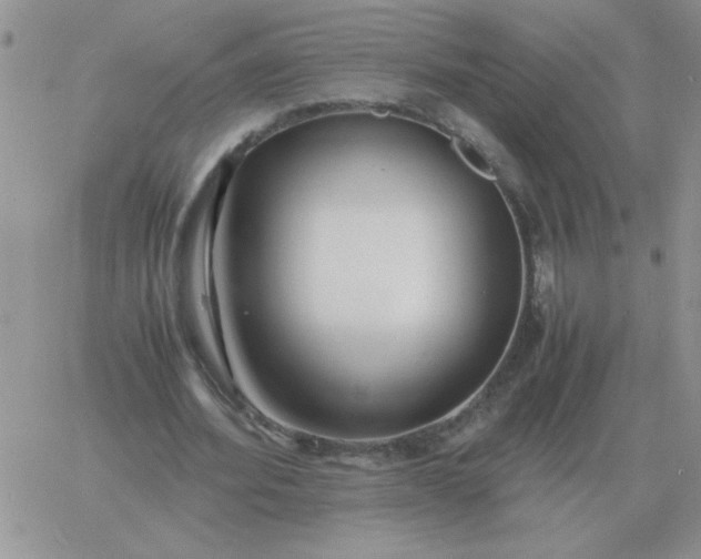 X0000060770580200511241756