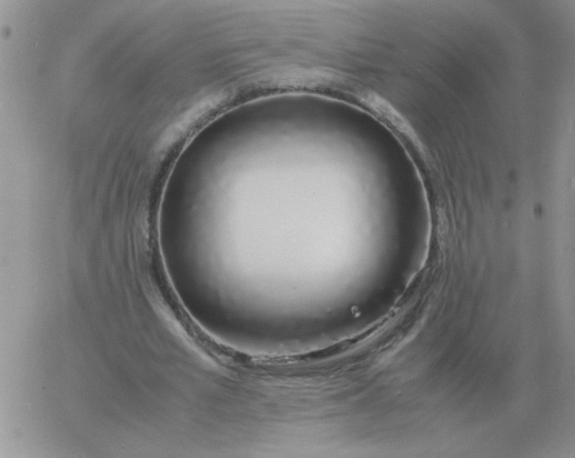 X0000060770581200511241756