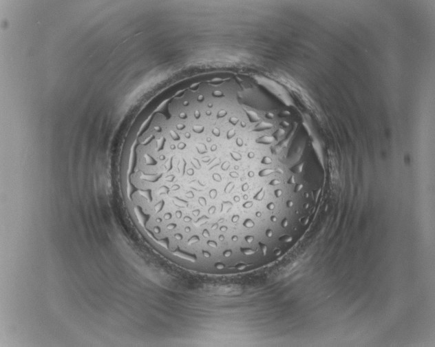 X0000060770582200511241756