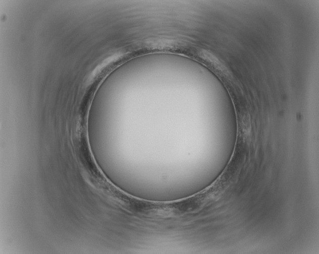 X0000060770583200511241756