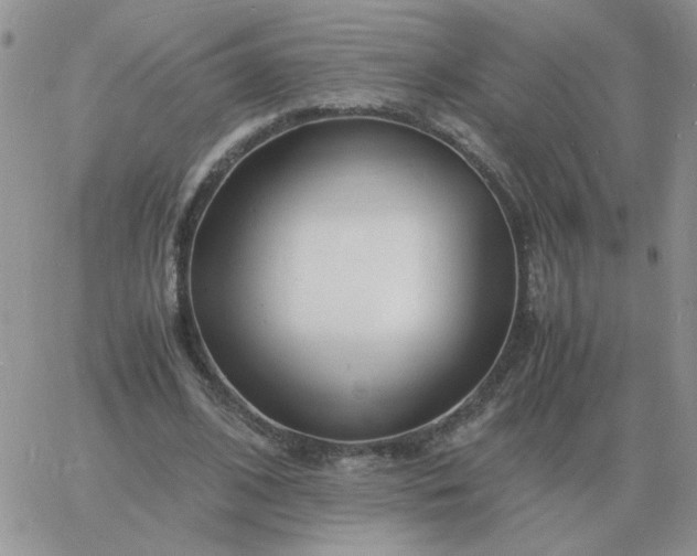 X0000060770584200511241756