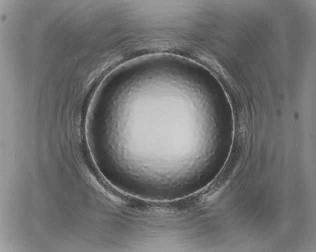 X0000060770585200511241756