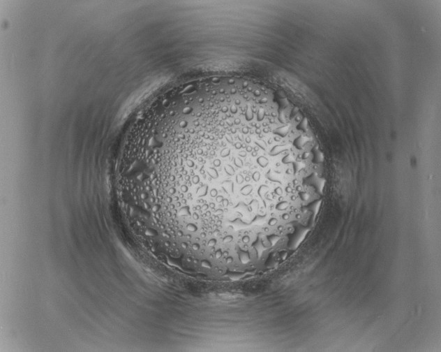 X0000060770586200511241756