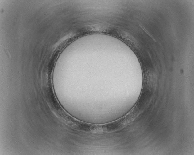 X0000060770587200511241756