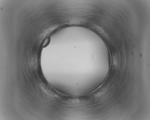 X0000060770588200511241756